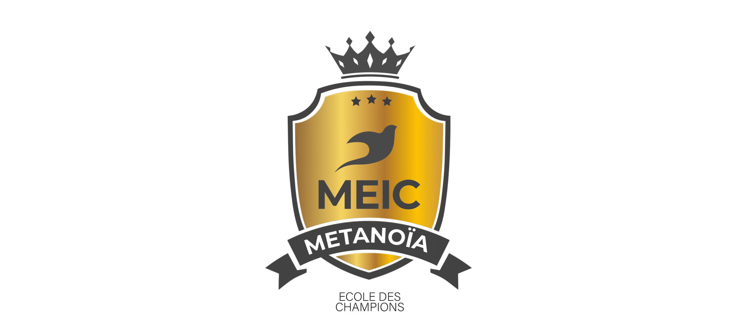 METANOIA SCHOOL OF CHAMPIONS (1)